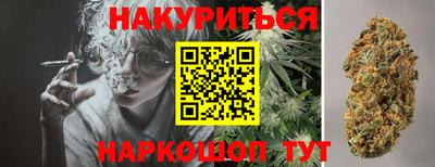 прущие грибы Кингисепп