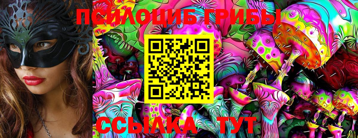 Псилоцибиновые грибы Psilocybe  Вход с VPN  Кимры 